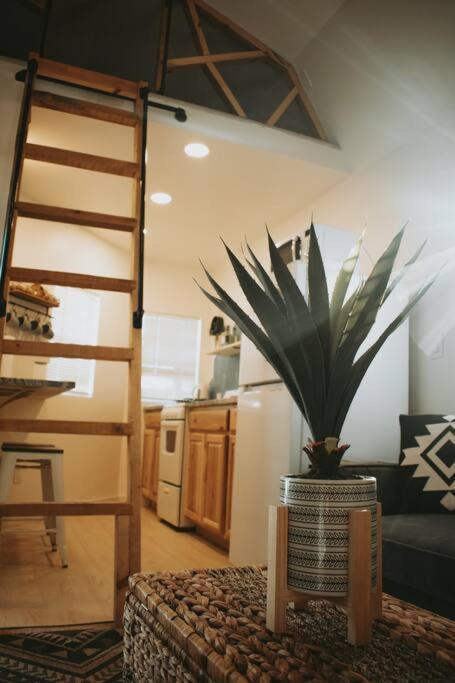 Agave Tiny House At Cactus Flower-Hot Tub-Pet Friendly-No Pet Fees! Альбукерке Екстер'єр фото