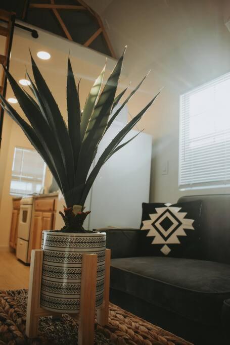 Agave Tiny House At Cactus Flower-Hot Tub-Pet Friendly-No Pet Fees! Альбукерке Екстер'єр фото
